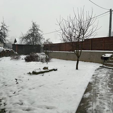 V Ulicce Velké Losiny Exterior foto